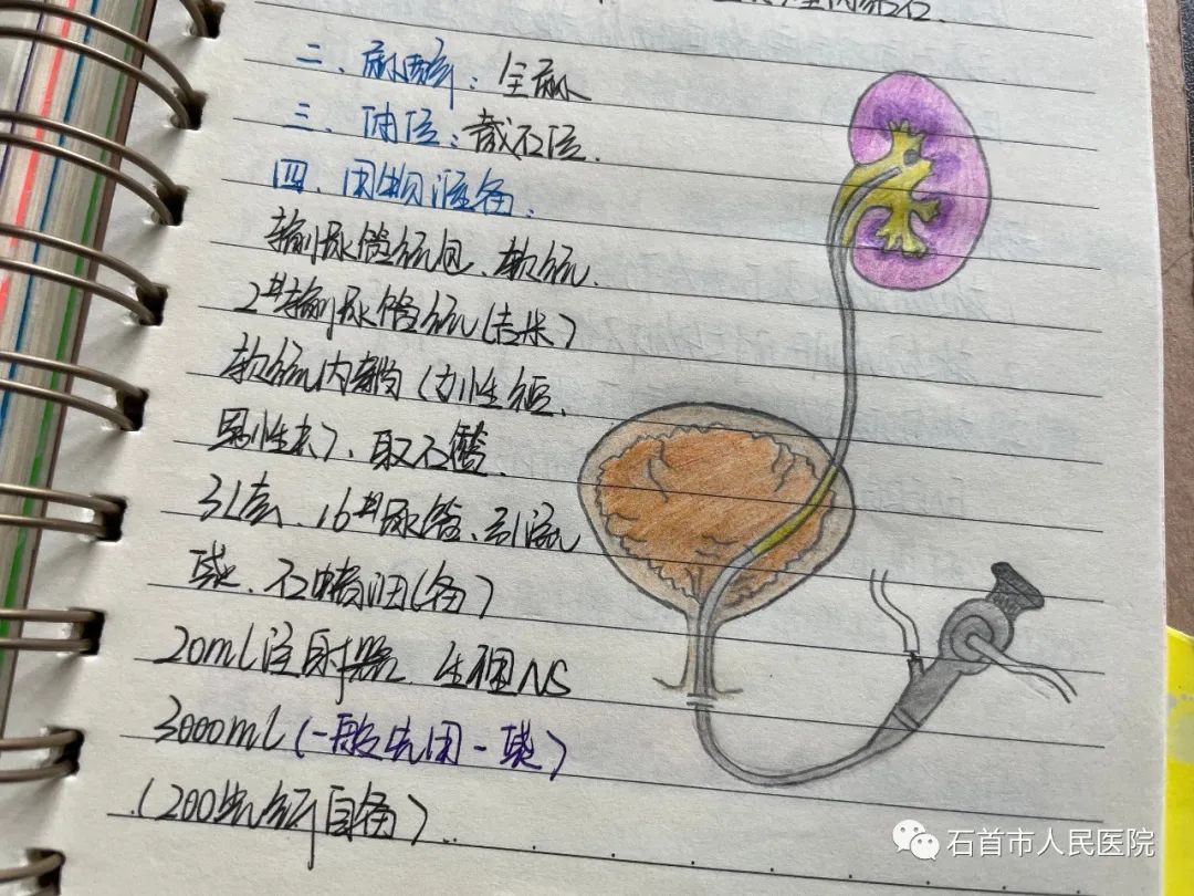 微信圖片_20220611090819.jpg