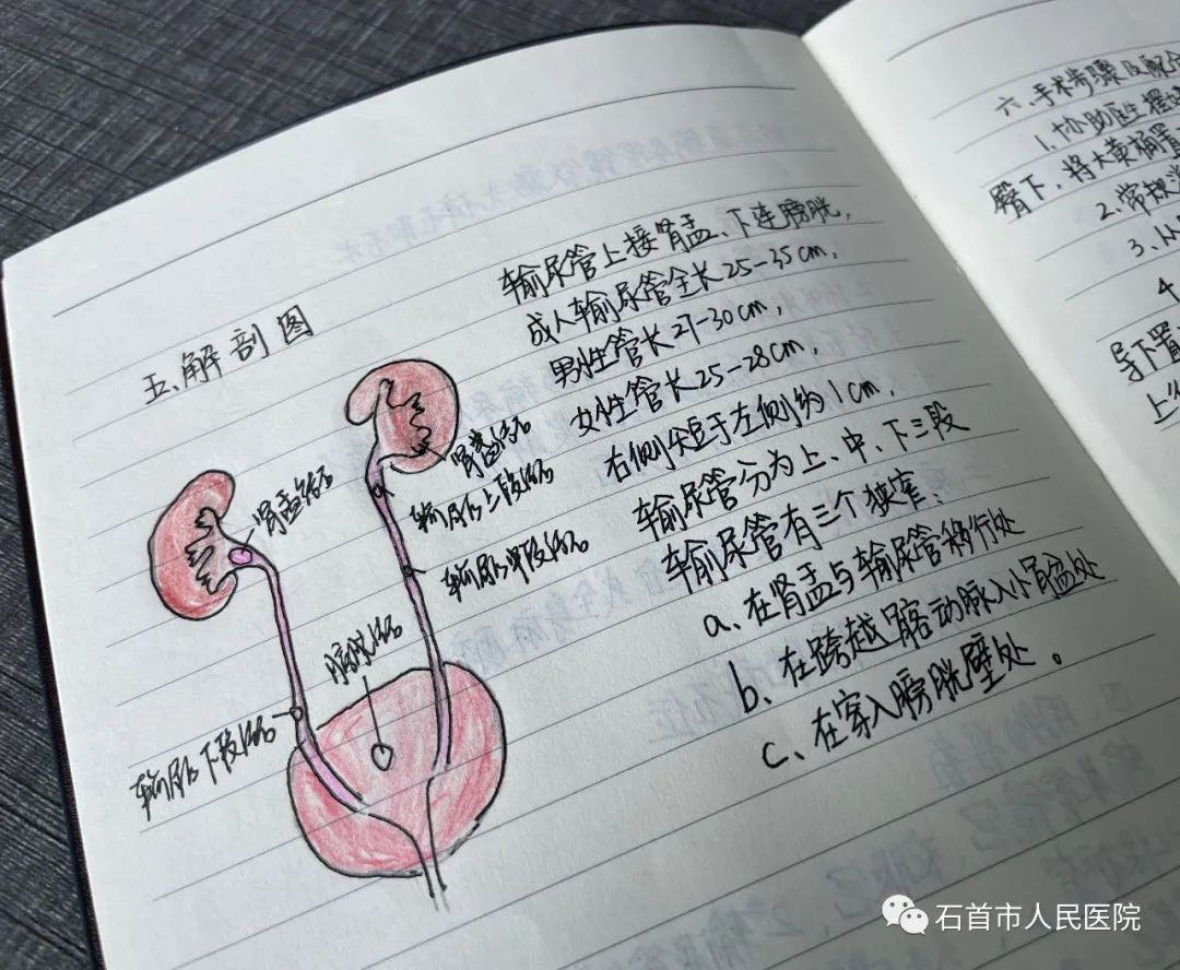 “學(xué)霸”筆記，沒錯啦！